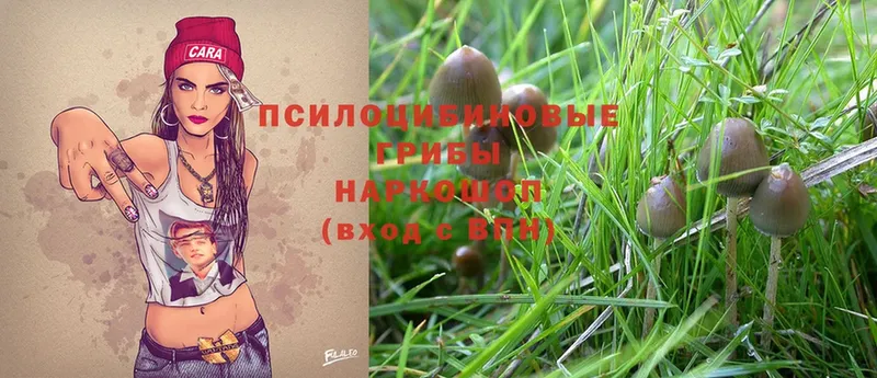 Галлюциногенные грибы MAGIC MUSHROOMS Льгов